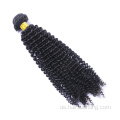 8a 100% unverarbeiteter Remy Burmese versauter lockiges Haarbündel Rohes Nagelhaut ausgerichtetes menschliches Haarbündelhändler